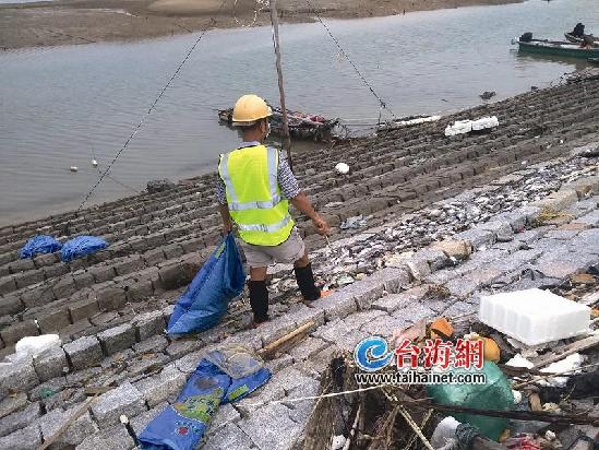 【福建时间】【厦门】【移动版】【滚动新闻】厦门海滩“死鱼带”长达十几米 市民表示从未见过