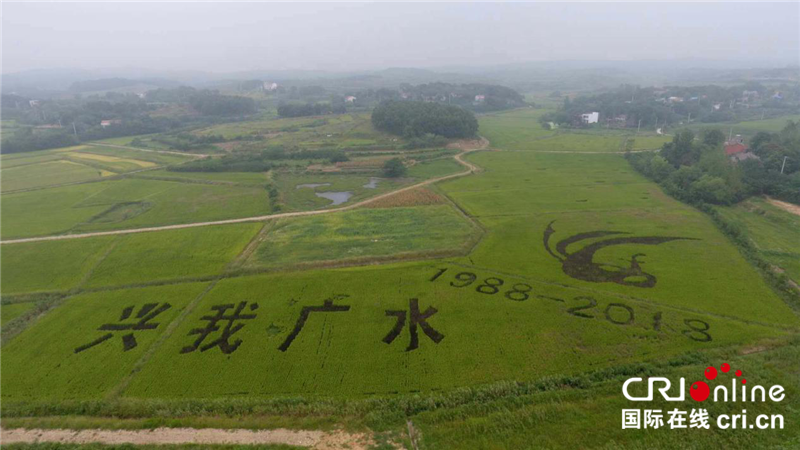 广水市梅庙村打造“村美业兴民富”新画卷