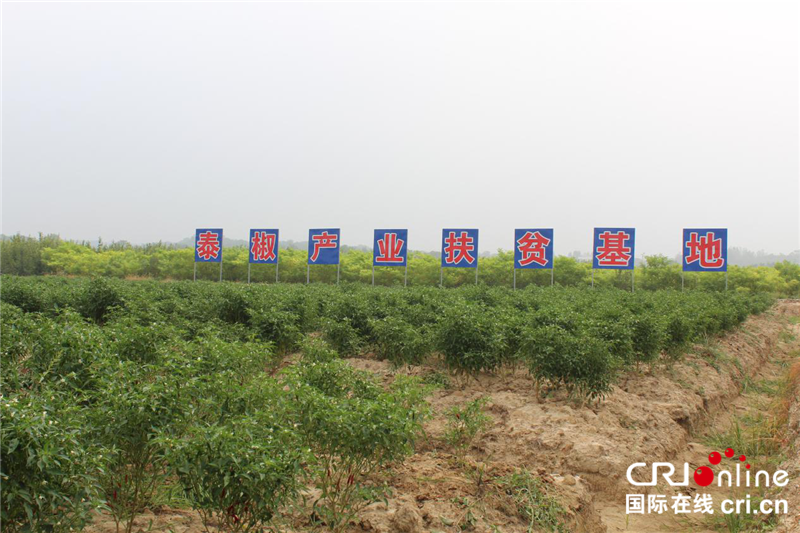 广水市梅庙村打造“村美业兴民富”新画卷