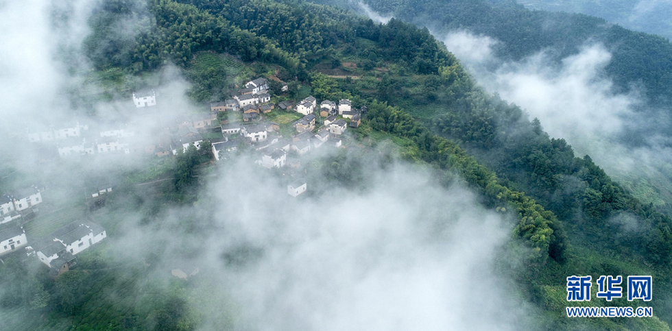 安徽皖南航拍：竹林古树满山崖 云海深处有人家