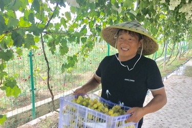 【特色新兴产业看贵州】乡村旅游助贵州黔南福泉贫困村变小康村