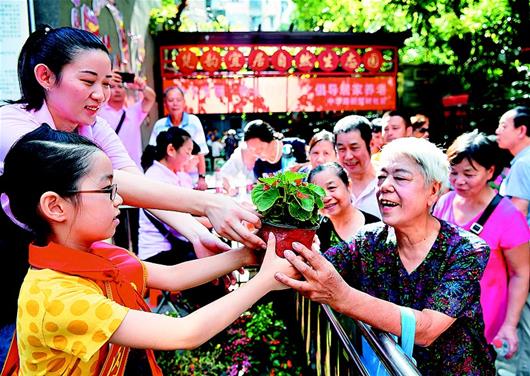 “口袋花园”装点绿意生活