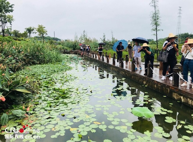 【加急】全国媒体共同见证那考河生态蜕变奇迹