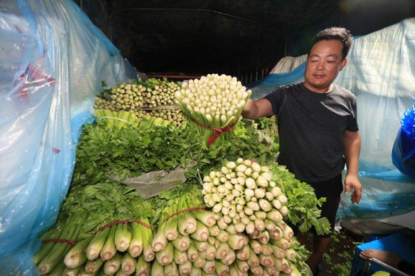 从批发环节到零售终端 上海多管齐下平抑菜价