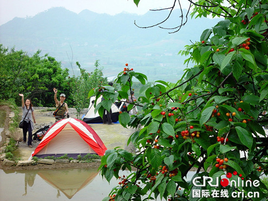 已过审【行走巴渝图文】铜梁双山樱桃旅游节启幕 千亩樱桃等你摘