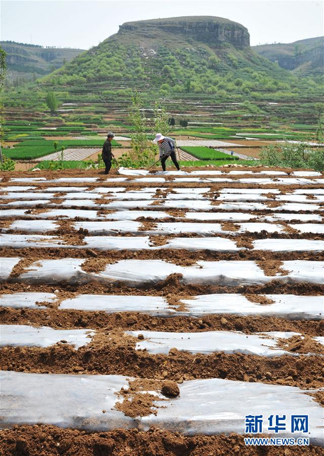 谷雨时节春耕忙