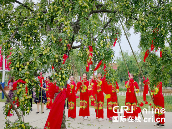 图片默认标题_fororder_3 枣乡青年为游客打枣（陈文杰 摄）