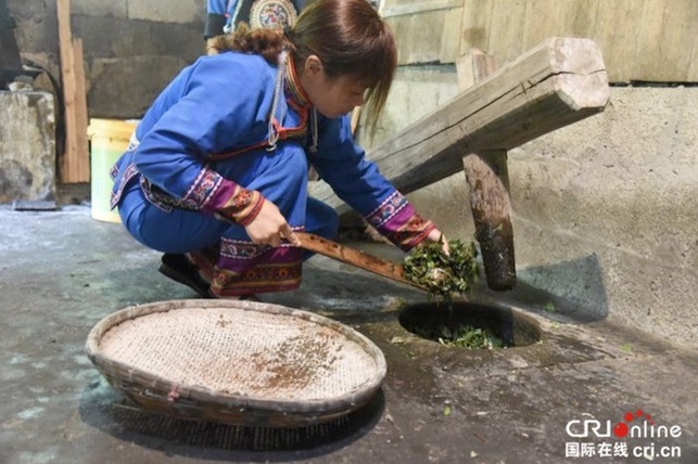 [唐已审][供稿]桂林龙胜：传承民族技艺  苗寨妇女制“曲”忙