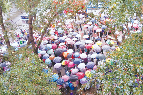 齐齐哈尔家长执伞护送学生 雨中盛开爱意“花朵”