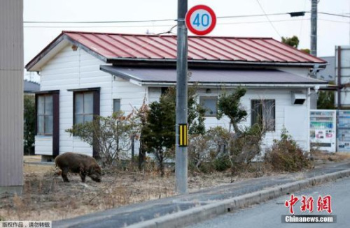 福岛核电站反应堆报废研究大楼启用 将着力研发