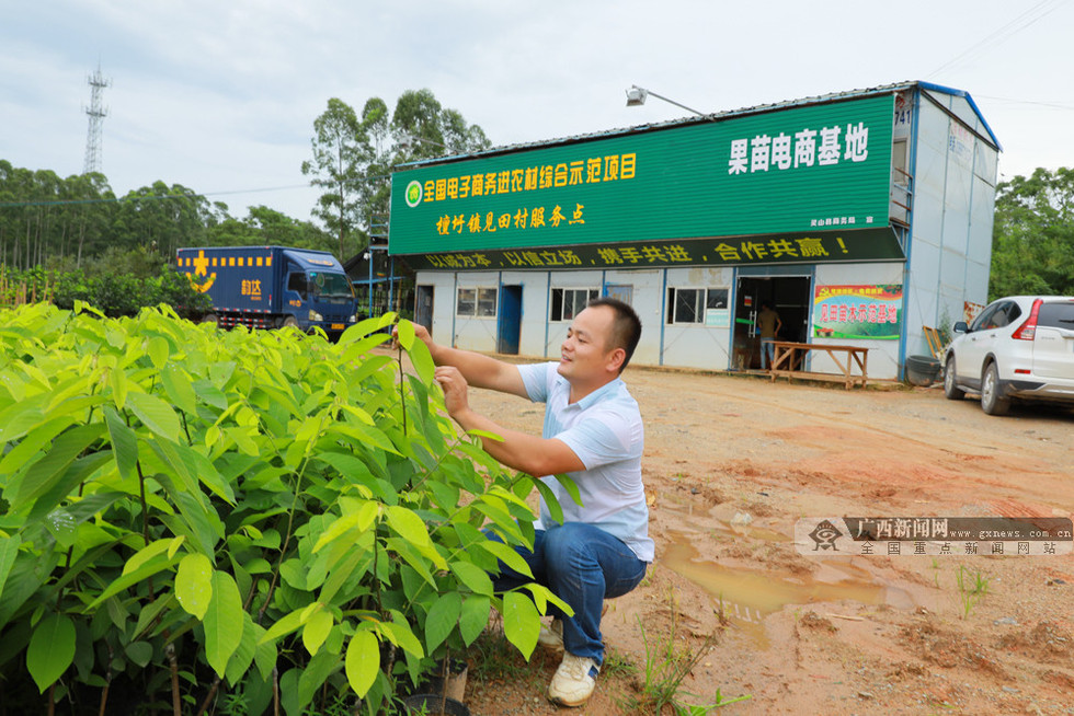 广西电商新跨越 经济增长新引擎