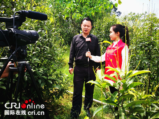 【行游巴渝图文】春夏时节 可到北碚缙云山品一口“药茶糖”