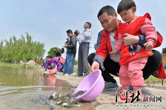 图片默认标题