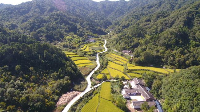 【攻坚路上党支部】“精准”党建，如何助推宁陕这座小山村“精准扶贫”