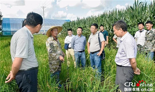 【黑龙江】农业农村部种业管理司司长张延秋到北大荒垦丰种业调研