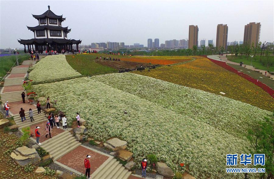 “飞阅”花博园