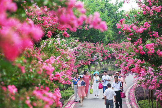 首张工会会员专享旅游年卡,发行突破10万张