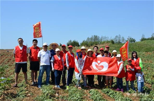 宜城义工帮贫困户拔花生