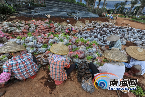 【市县】【即时快讯】博鳌乐城建设者们五一假期坚守岗位