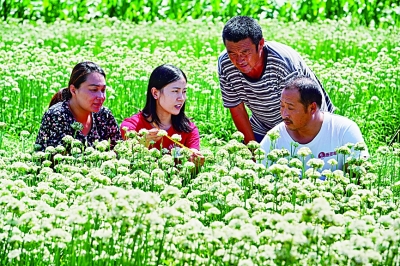 知识分子爱国奋斗精神的传承与践行