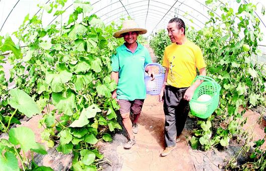 江陵发展生态种植 带动农民增收致富