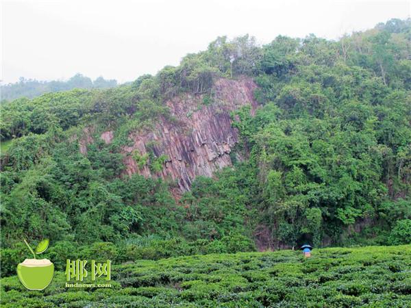 末尾有图【视觉海南中上图】【即时快讯】白沙发现大型花岗斑岩柱状节理群地貌