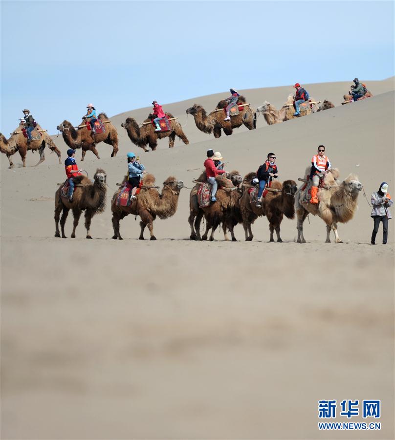 一带一路·好风光 敦煌鸣沙山上体验大漠驼队