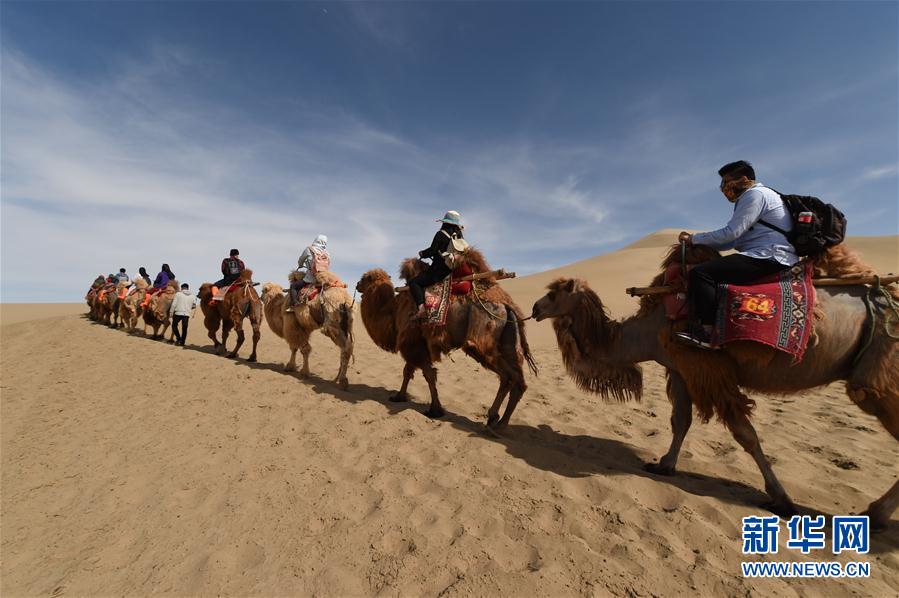 一带一路·好风光 敦煌鸣沙山上体验大漠驼队