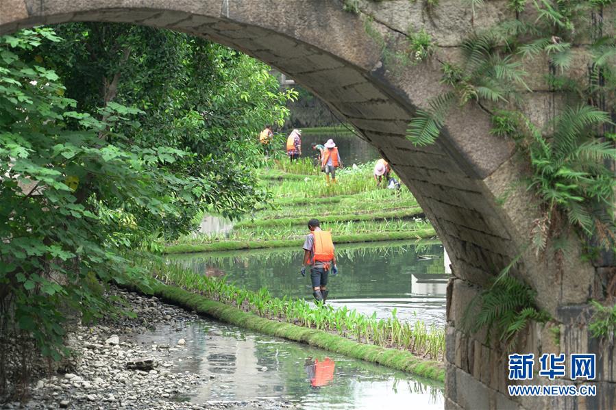 福州：构建内河水系生态修复链提升河水自净能力