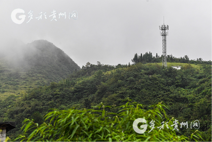 （大扶贫、客户端贵州、移动版）“文军扶贫”在行动 多彩贵州网帮扶桐梓动真情动真格