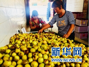 【壮美黄河 润泽三秦】沿黄观光路开启“致富大门” 沿线村民好日子在路上