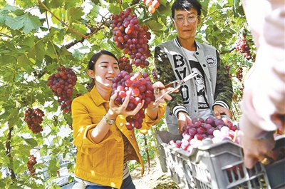 延庆丰收节主推8条精品游 从9月15日持续至10月14日