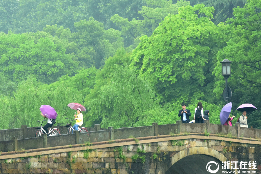 杭城雨转晴 满眼初夏景