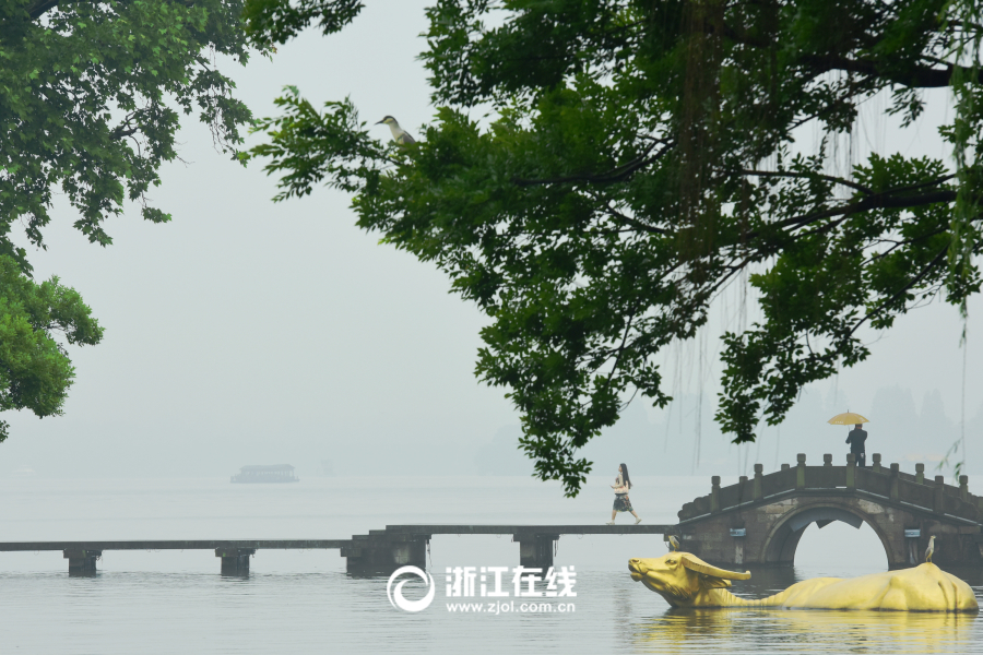 杭城雨转晴 满眼初夏景