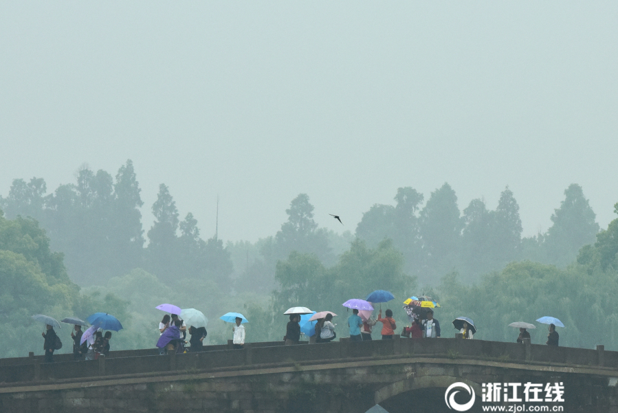 杭城雨转晴 满眼初夏景