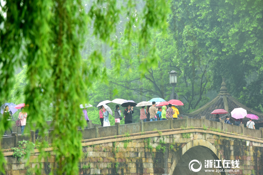 杭城雨转晴 满眼初夏景