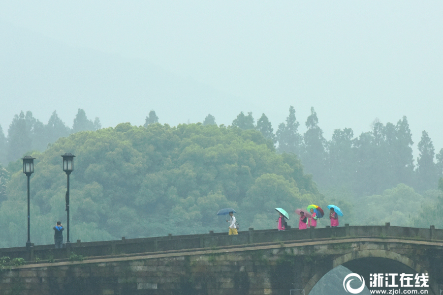 杭城雨转晴 满眼初夏景