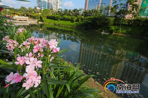 【琼岛先锋】【即时快讯】海口鸭尾溪分段治理 河边花红水绿