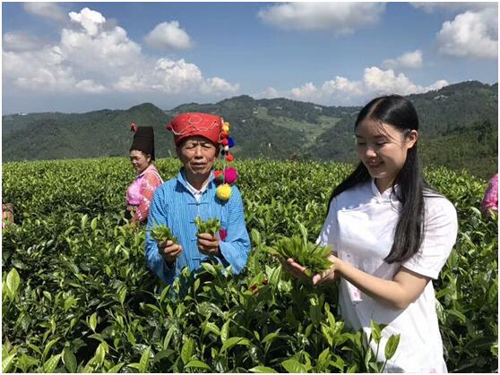 沪滇合作添亮点 云南梁河特色农产品在沪拍卖