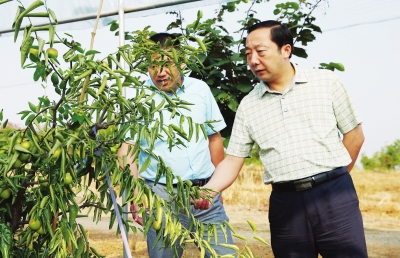 【头条列表】河南固始：下足“绣花功”誓圆“脱贫梦”