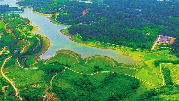 【焦点图】【即时快讯】南丽湖：慢道迤逦绿荫中