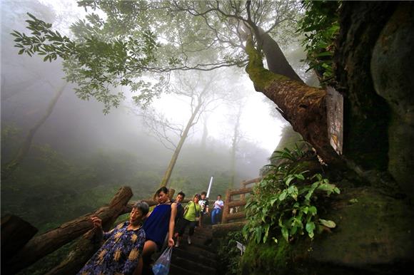 【区县联动】【綦江】綦江古剑山秋雨绵绵如入仙境