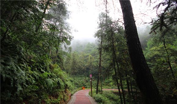 【区县联动】【綦江】綦江古剑山秋雨绵绵如入仙境