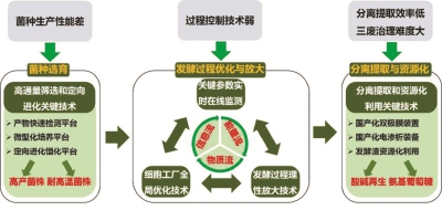 华东理工历时10年找到工业发酵关键因素 助企业绿色“智造”