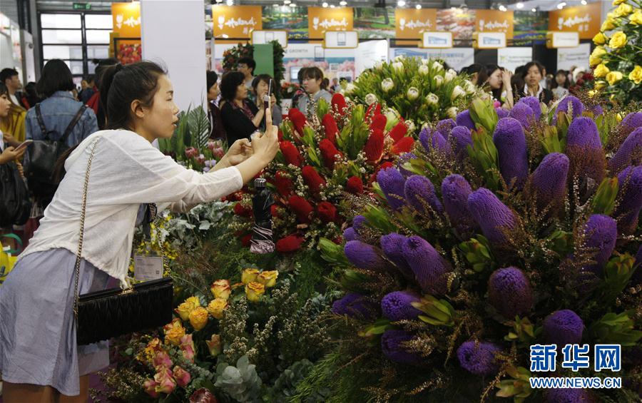 中国国际花卉园艺展览会在上海开幕