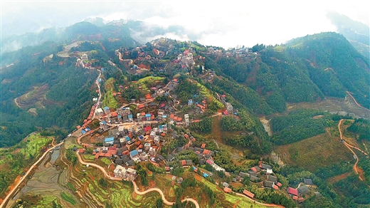 柳州：高山“微车间” 脱贫大作用