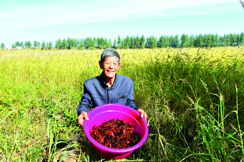 长春市双阳区：蟹肥 虾壮 稻米香