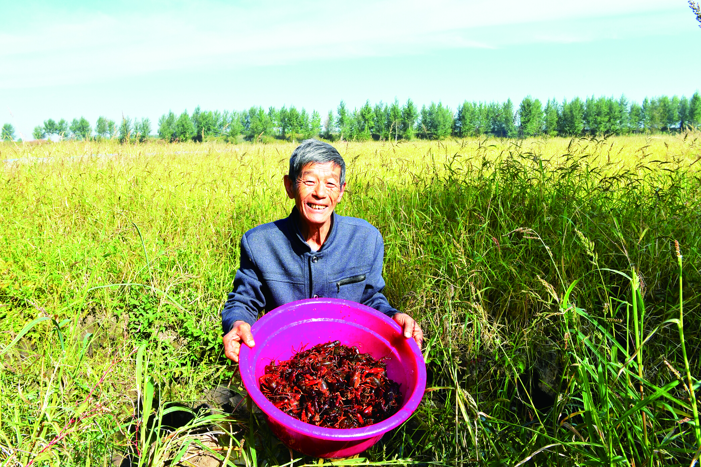 长春市双阳区：蟹肥 虾壮 稻米香