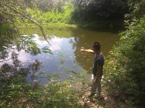 【琼岛动态】【即时快讯】海口陵水两名花季男孩下水游泳 不幸溺亡