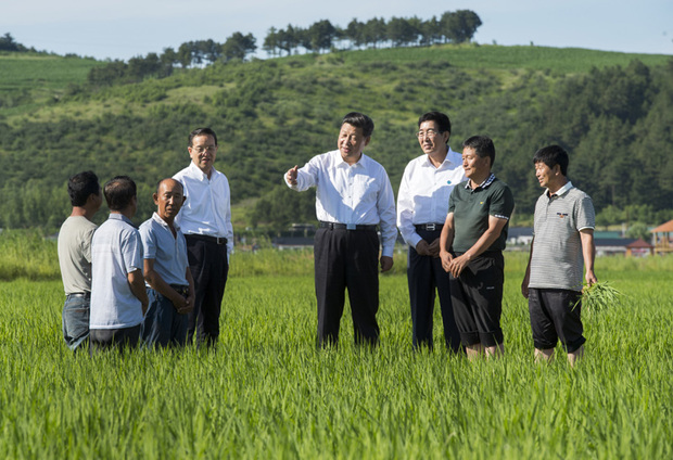 习近平“三农”金句